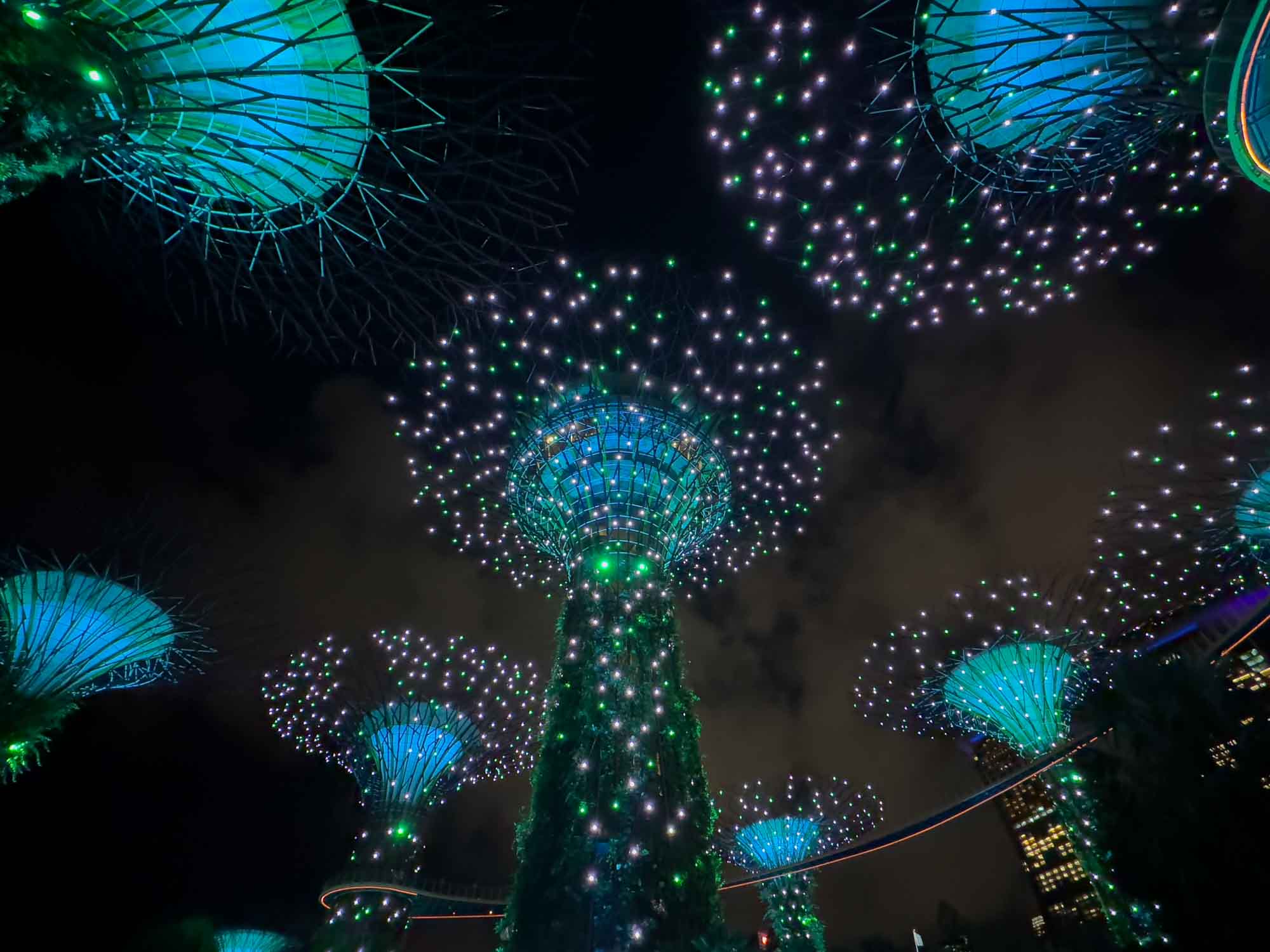 Singapore Garden Light Show